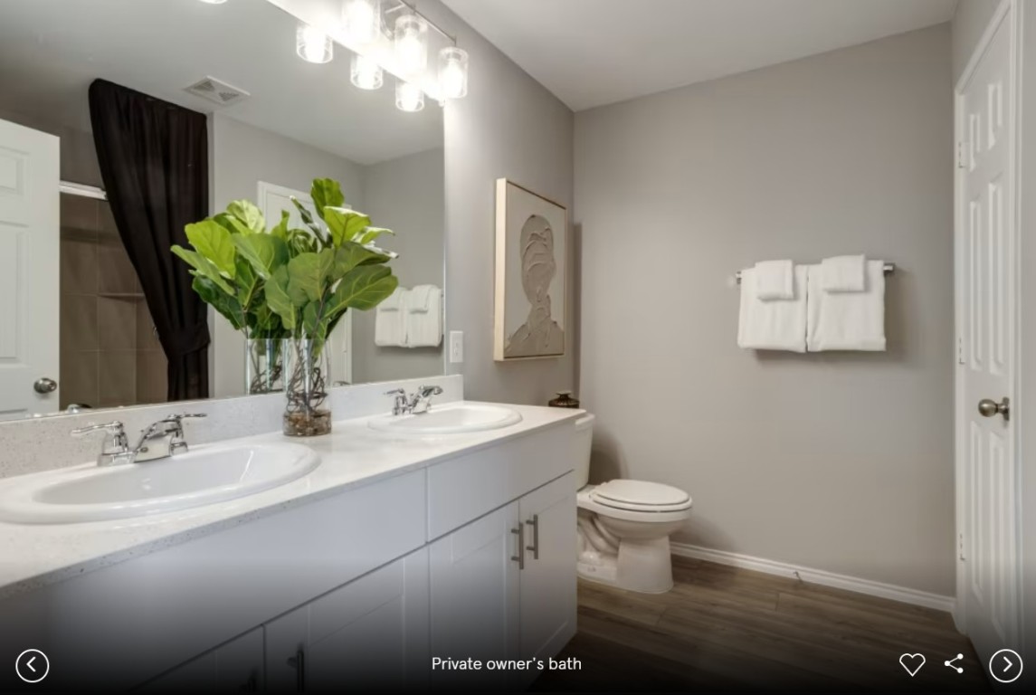 120 Golden Bell Way Buda, TX 78610 - Photo 8 of 10 a bathroom with a toilet sink and mirror
