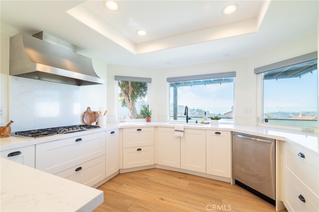 27 Burriana San Clemente, CA 92672 - Photo 20 of 66