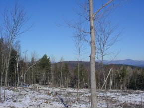 0 Reed Road Alton Bay, NH 03810 - Photo 2 of 7
