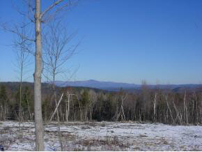 0 Reed Road Alton Bay, NH 03810 - Photo 3 of 7