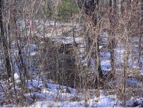 0 Reed Road Alton Bay, NH 03810 - Photo 5 of 7
