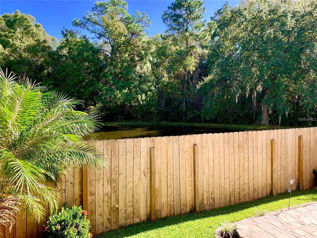 8553 Manassas Road Tampa, FL 33635 - Photo 31 of 33 a view of backyard with garden
