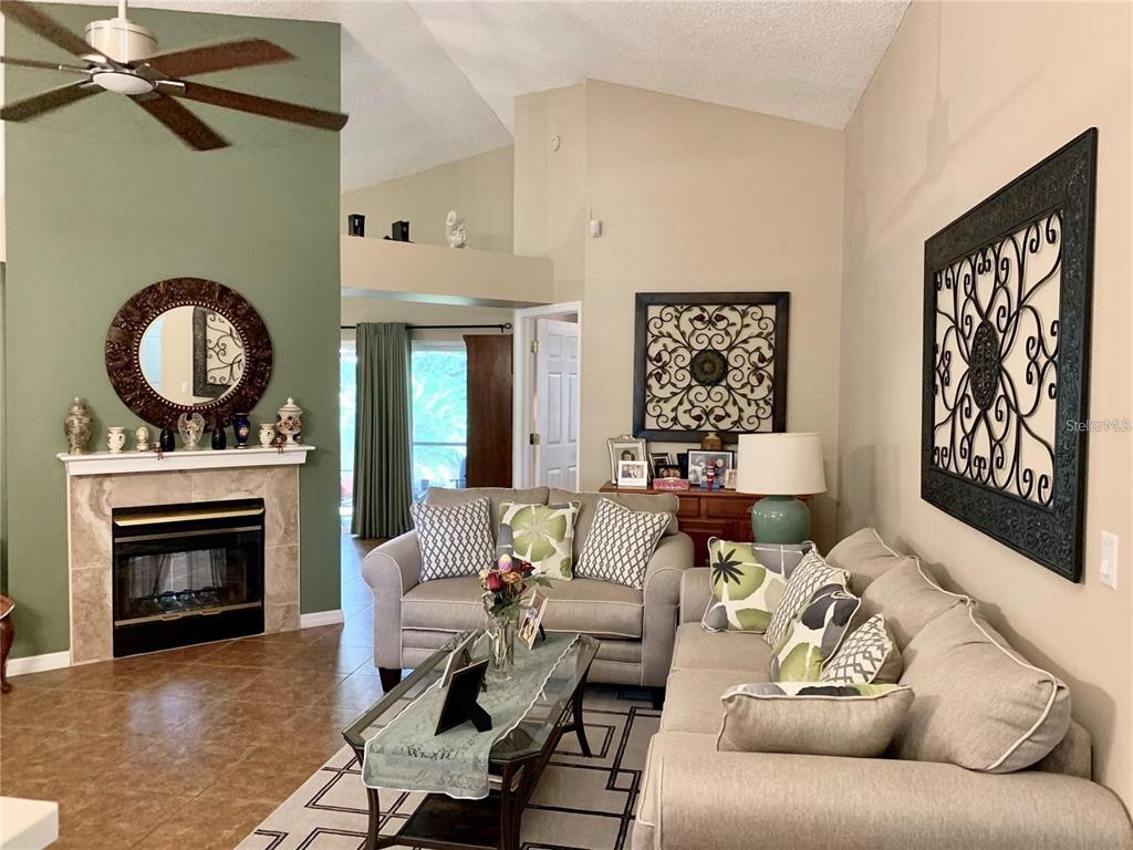 8553 Manassas Road Tampa, FL 33635 - Photo 8 of 33 a living room with furniture and a fireplace