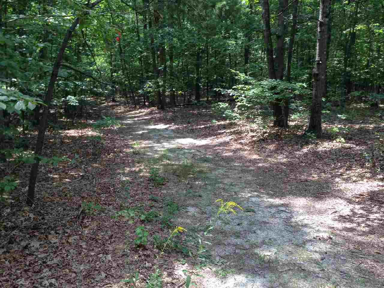 Lot Billy Billy B Road Louisa, VA 23093 - Photo 1 of 1