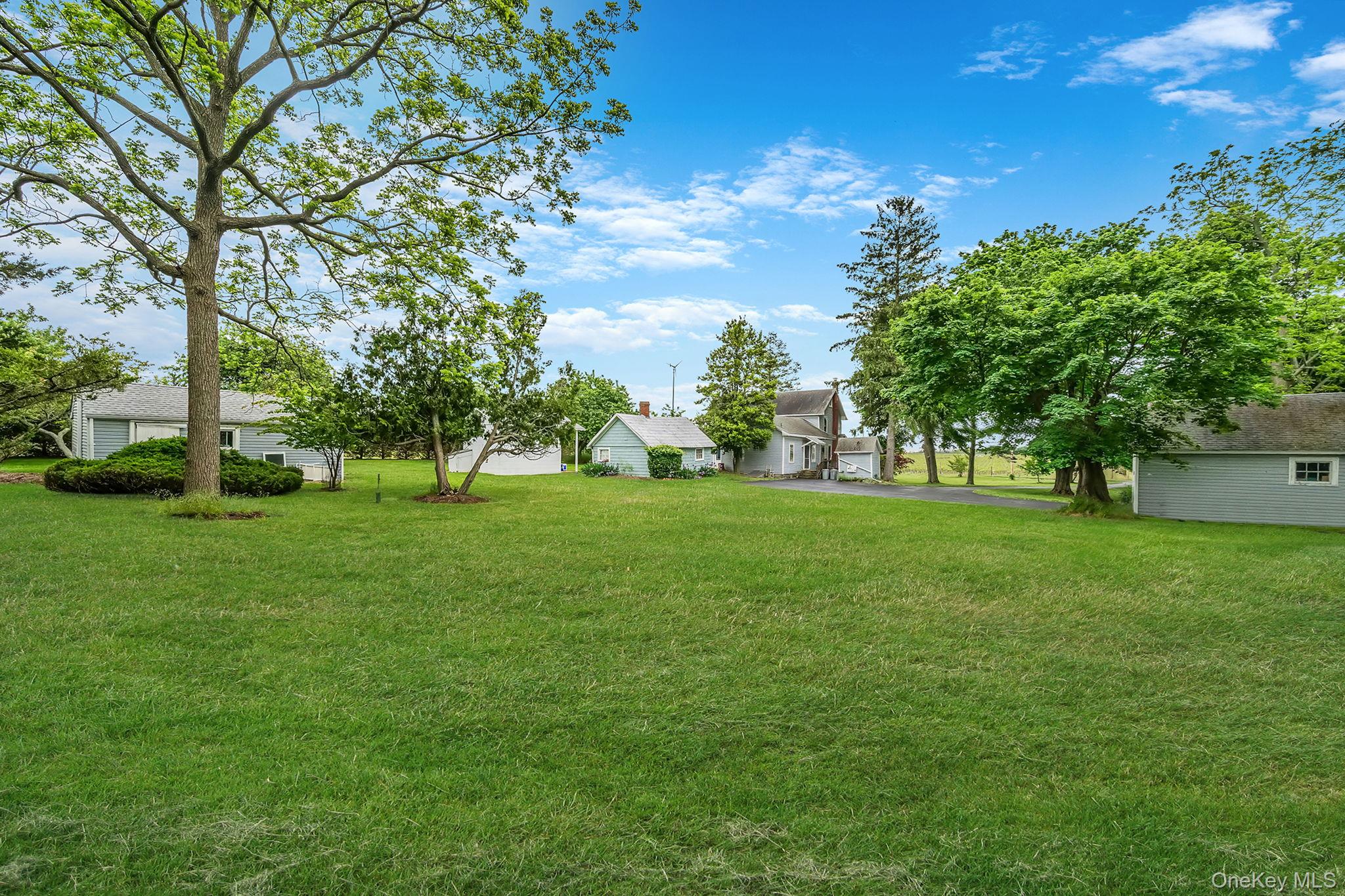 1055 Oregon Road Mattituck, NY 11952 - Photo 31 of 33 Expansive lawn area with mature trees. Room for Pool, Horse etc.