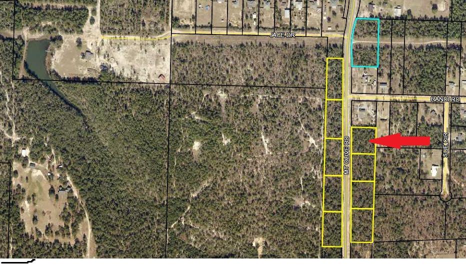 0 Mt Olive Road, Unit LOT 2 Crestview, FL 32539 - Photo 1 of 2 Lot 2