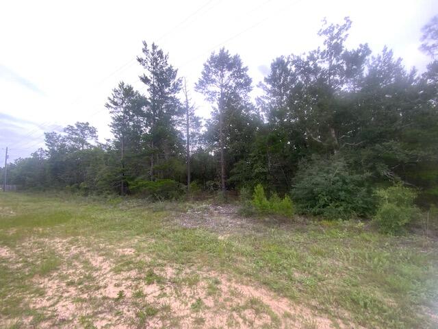 0 Mt Olive Road, Unit LOT 2 Crestview, FL 32539 - Photo 2 of 2 IMG_0142