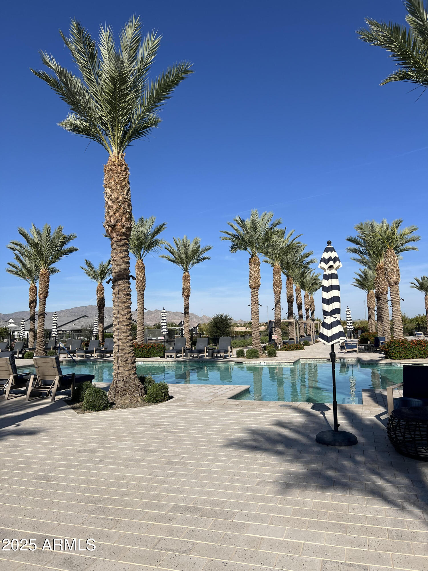 11300 North Casa Dega Drive, Unit 1061 Surprise, AZ 85388 - Photo 2 of 45 a view of a house with a yard and potted plants