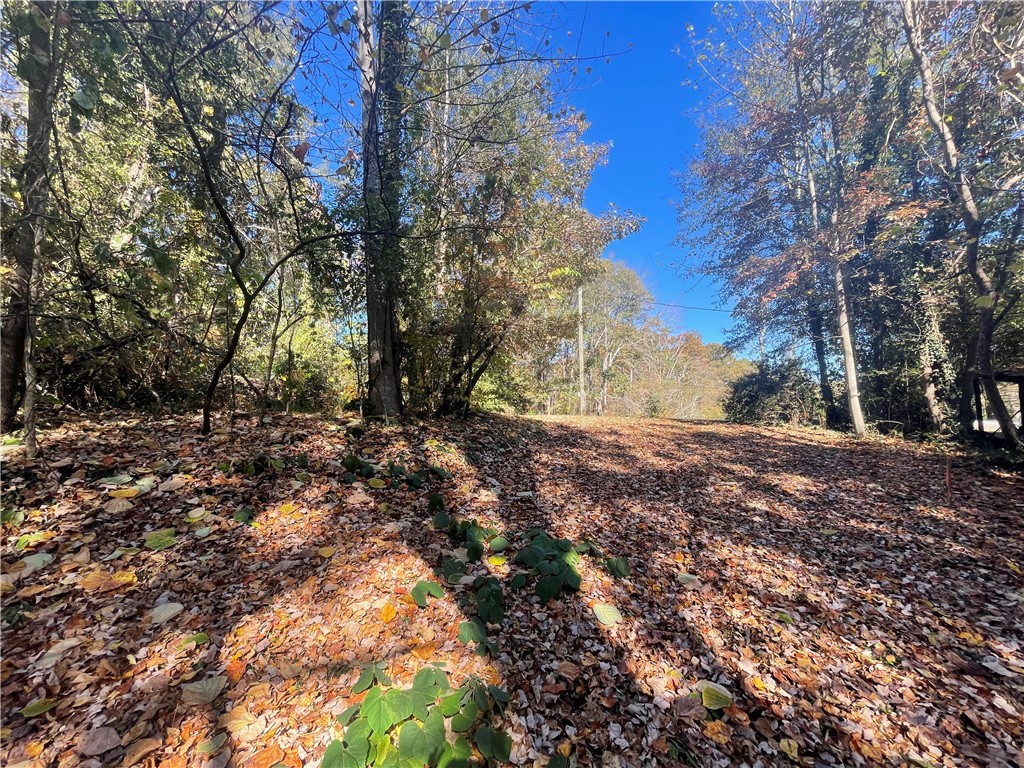 709 Campbell Town Road Walhalla, SC 29691 - Photo 3 of 16 Gallery Image 3