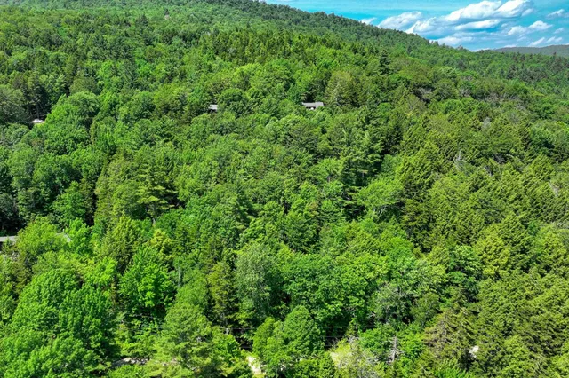 $55,000 | Lot 50 Hawk Mountain Road, Pittsfield, VT 05762