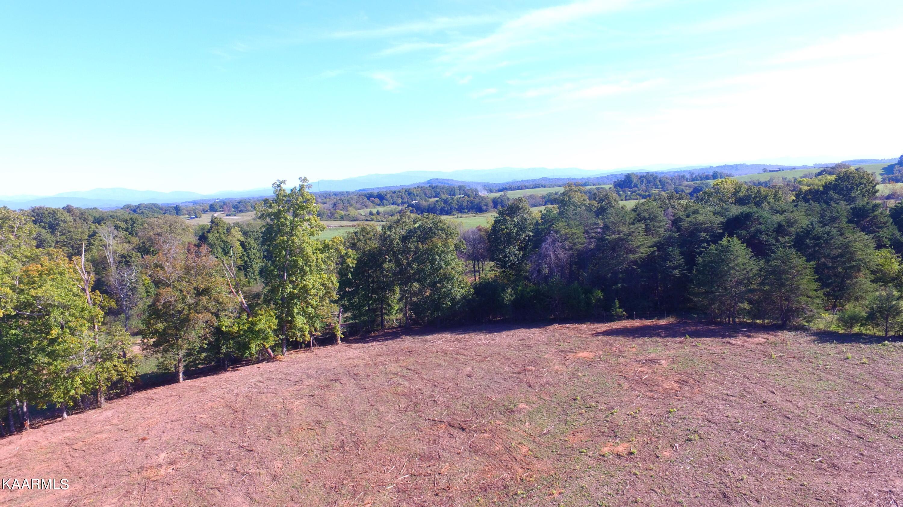 1422 Oak Grove Road Madisonville, TN 37354 - Photo 4 of 8 Lot 9-3