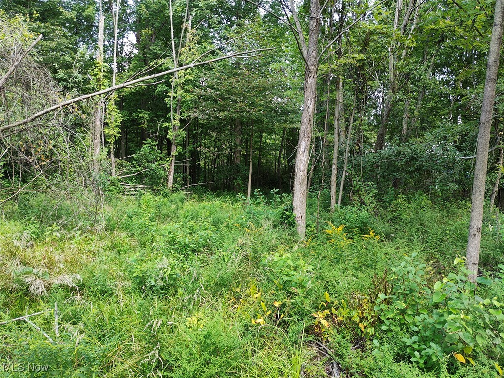 Vl New London Road Geneva, OH 44041 - Photo 6 of 10 View of nature