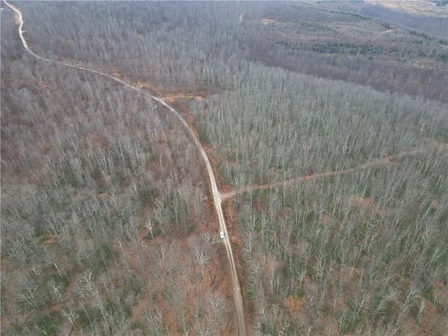 a view of a dry yard