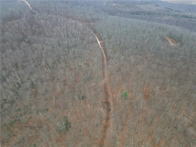 a view of a dry yard