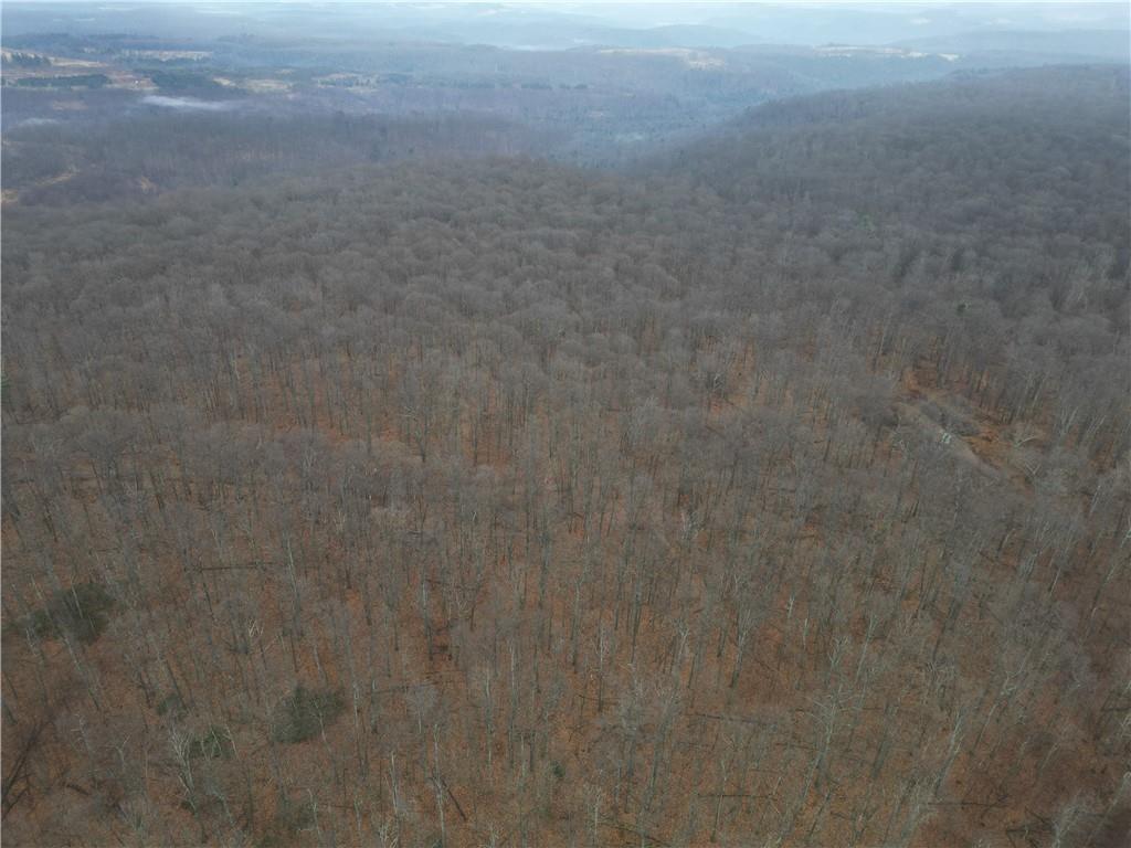 0 Johnson Road Mahaffey, PA 15757 - Photo 7 of 9