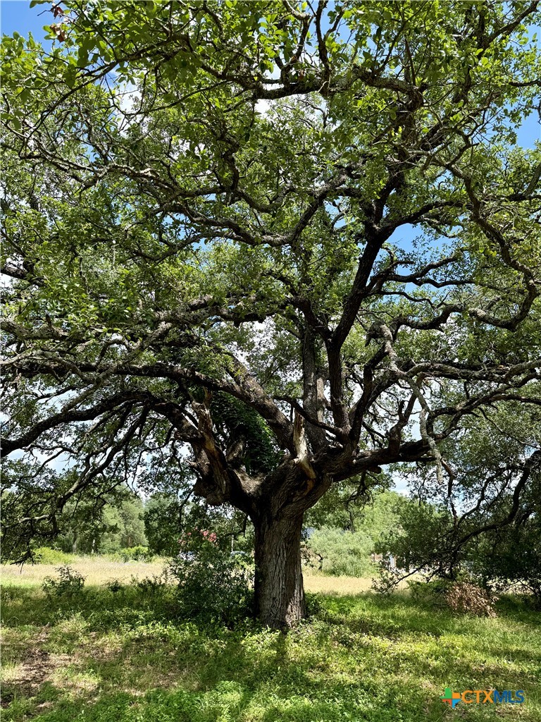 731 Santa Maria Road Salado, TX 76571 - Photo 13 of 15