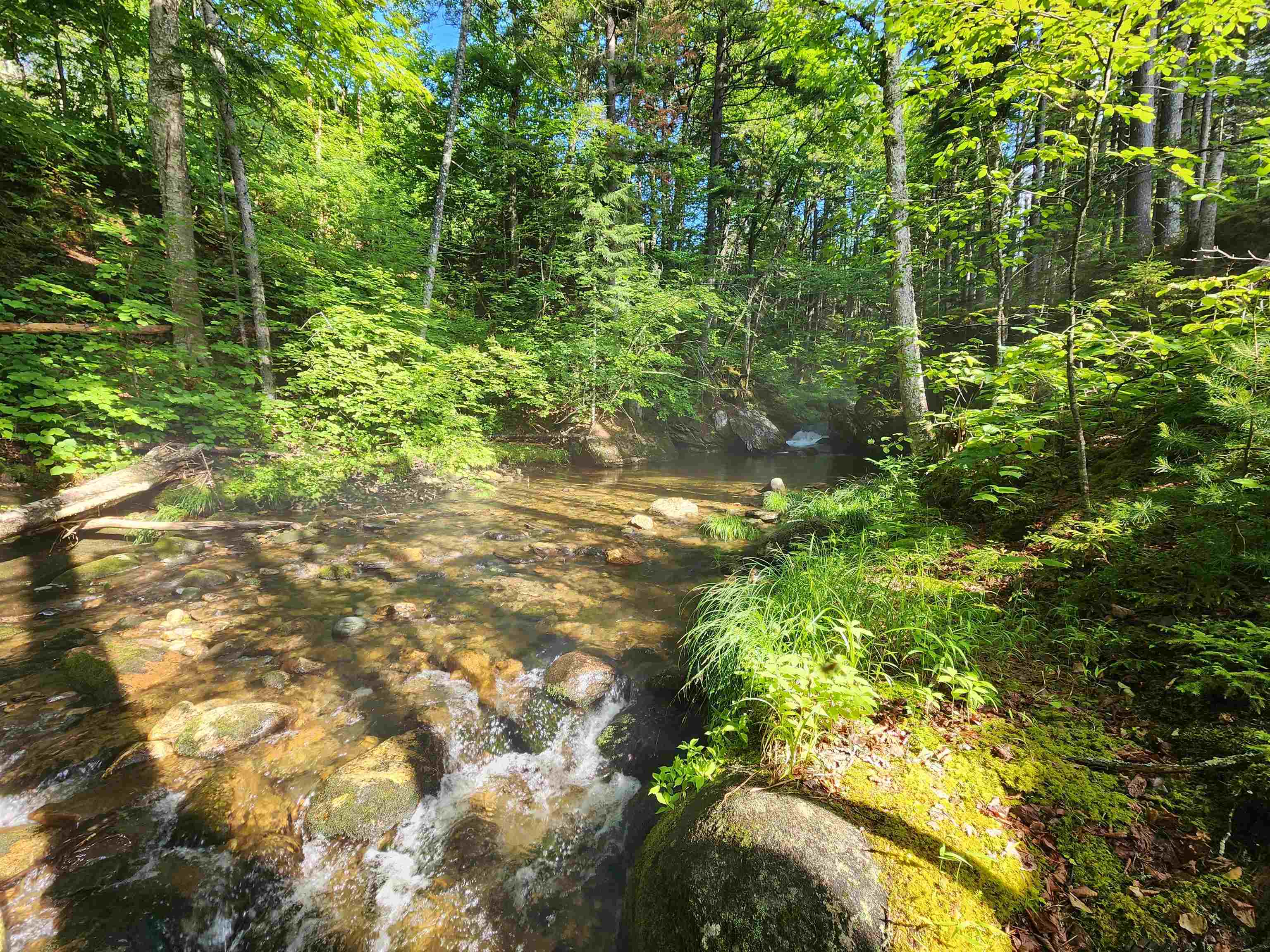 Lot 2 Ginnie Lane, Unit R02000100002 Errol, NH 03579 - Photo 13 of 32 Gallery Image 13