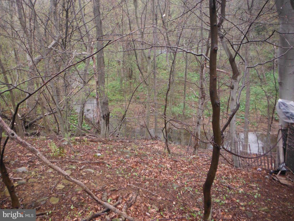 S South Mountain Road Robesonia, PA 19551 - Photo 8 of 11
