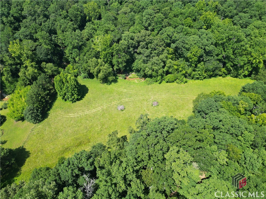 1350 Wildcat Ridge Watkinsville, GA 30677 - Photo 49 of 56 Gallery Image 49