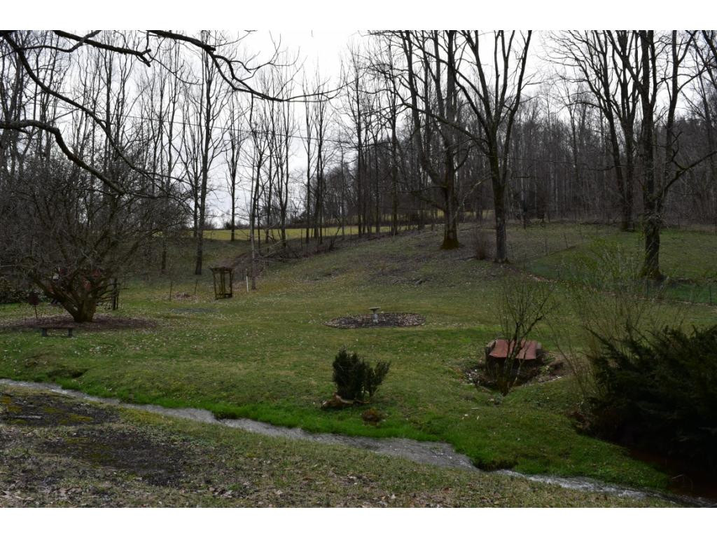 257 Muddy Branch Road Elizabethton, TN 37643 - Photo 27 of 36 Side Yard