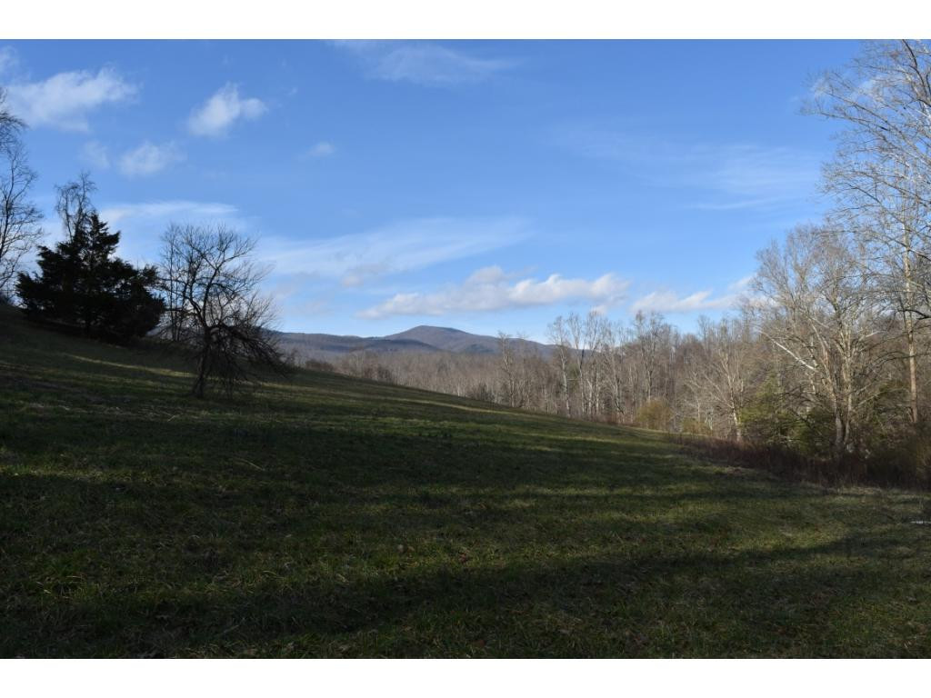 257 Muddy Branch Road Elizabethton, TN 37643 - Photo 31 of 36 Photo 31