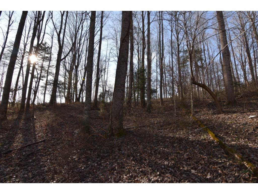 257 Muddy Branch Road Elizabethton, TN 37643 - Photo 33 of 36 Photo 33