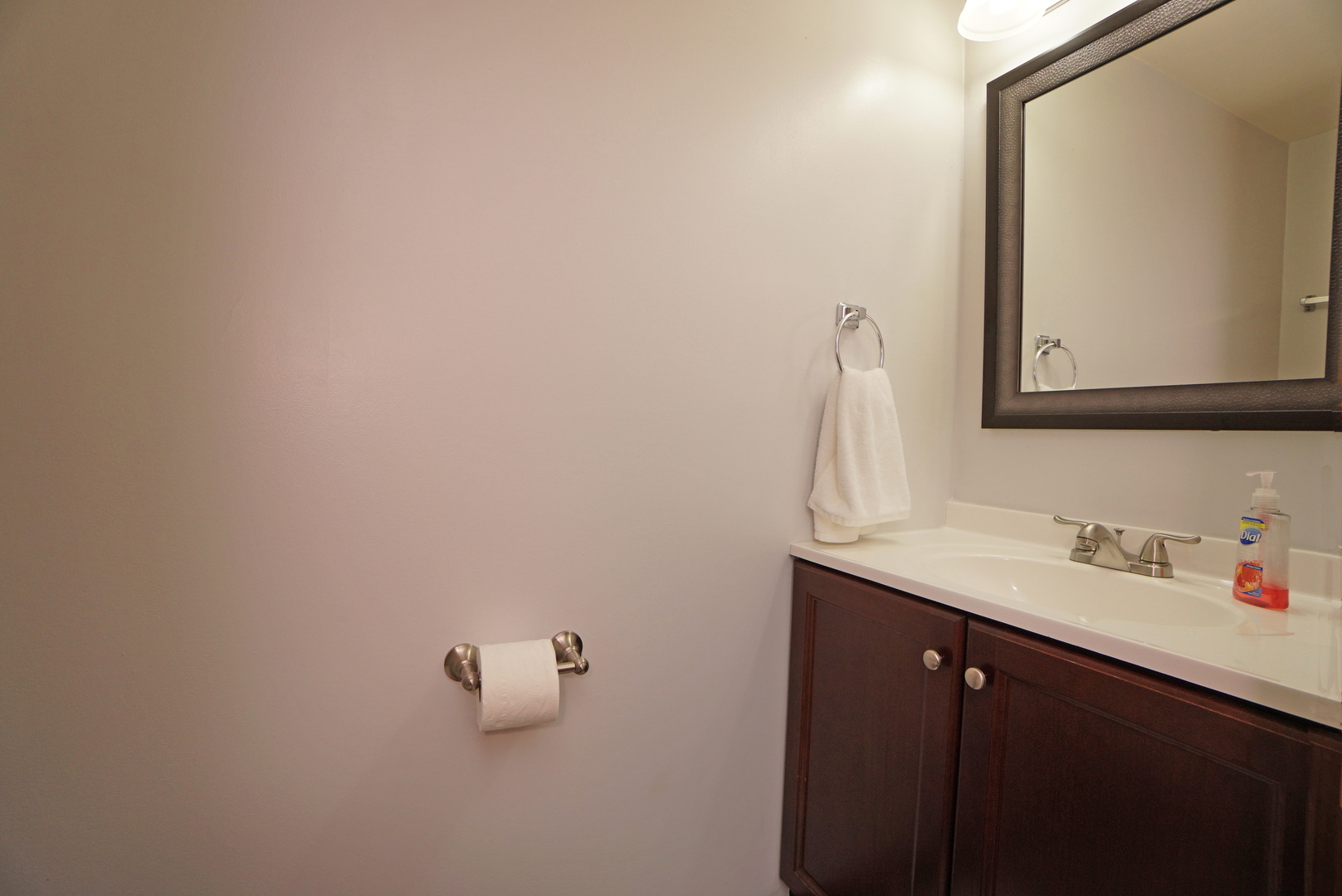 23 North Oltendorf Road Streamwood, IL 60107 - Photo 12 of 35 a bathroom with a sink and a mirror