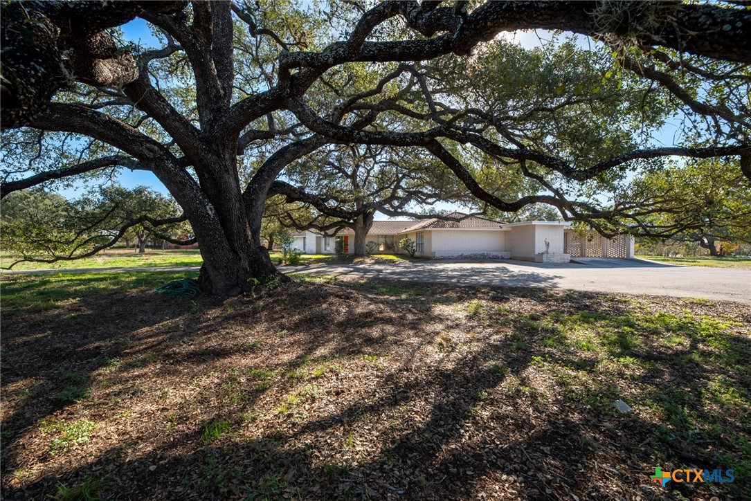 609 Rudeloff Road Seguin, TX 78155 - Photo 4 of 45