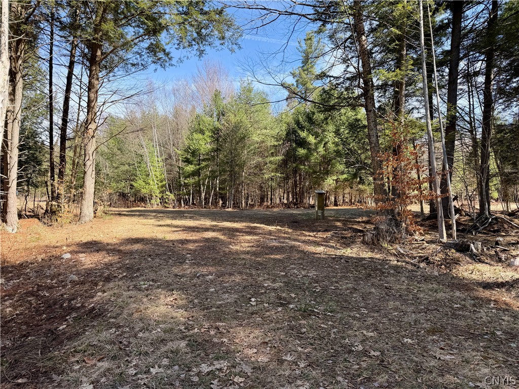 6919 Austin Road Glenfield, NY 13343 - Photo 5 of 28