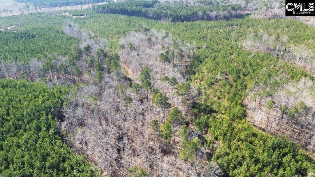 River Road Winnsboro, SC 29180 - Photo 11 of 20
