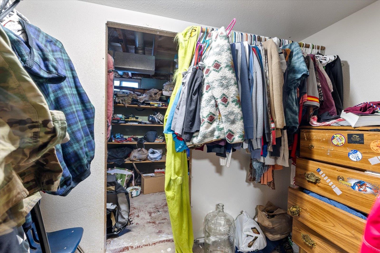 24 Fern Court Babbitt, MN 55706 - Photo 27 of 41 View of walk in closet