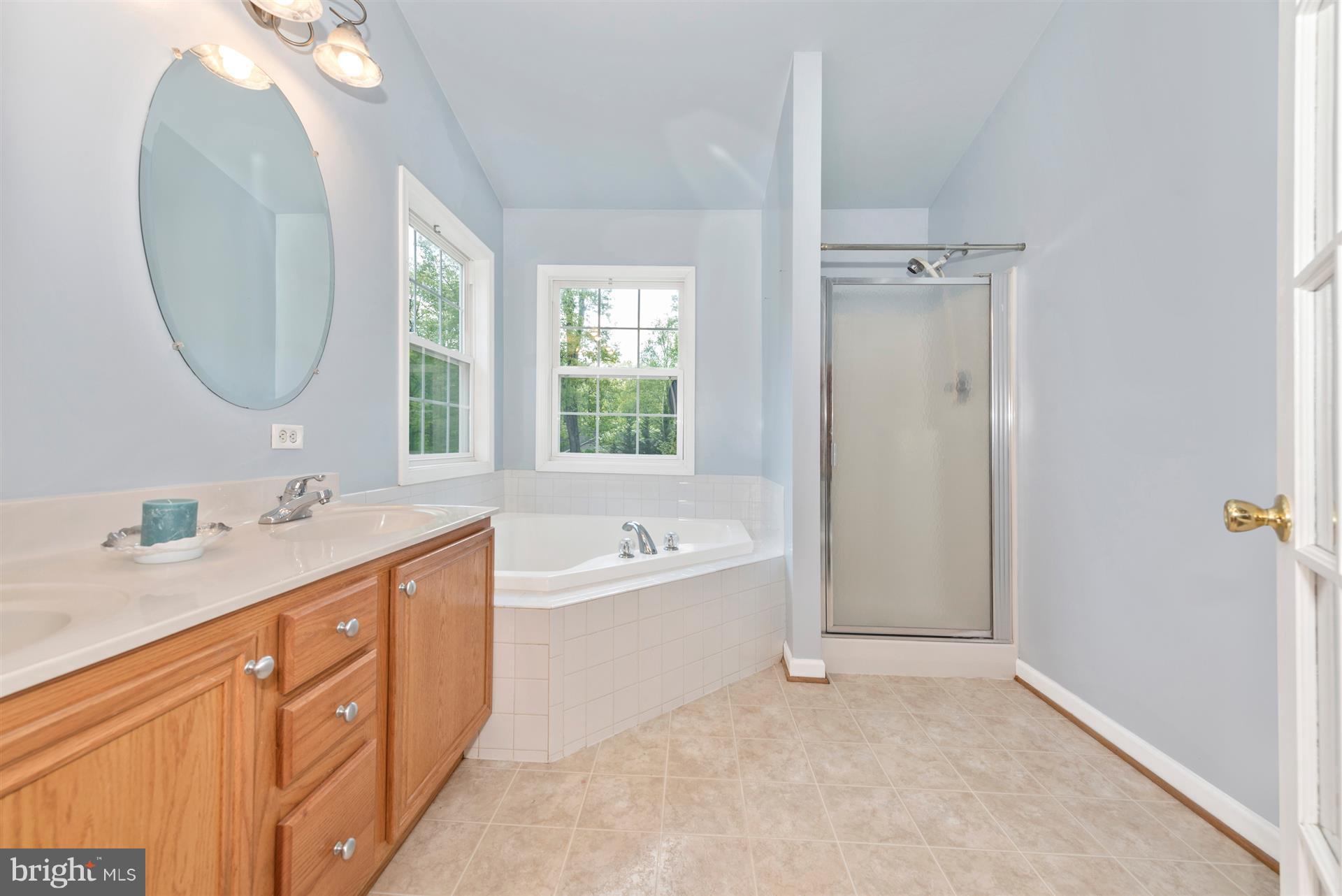 11217 Coppermine Road Woodsboro, MD 21798 - Photo 17 of 30 Large Master Bathroom - Great Natural Light