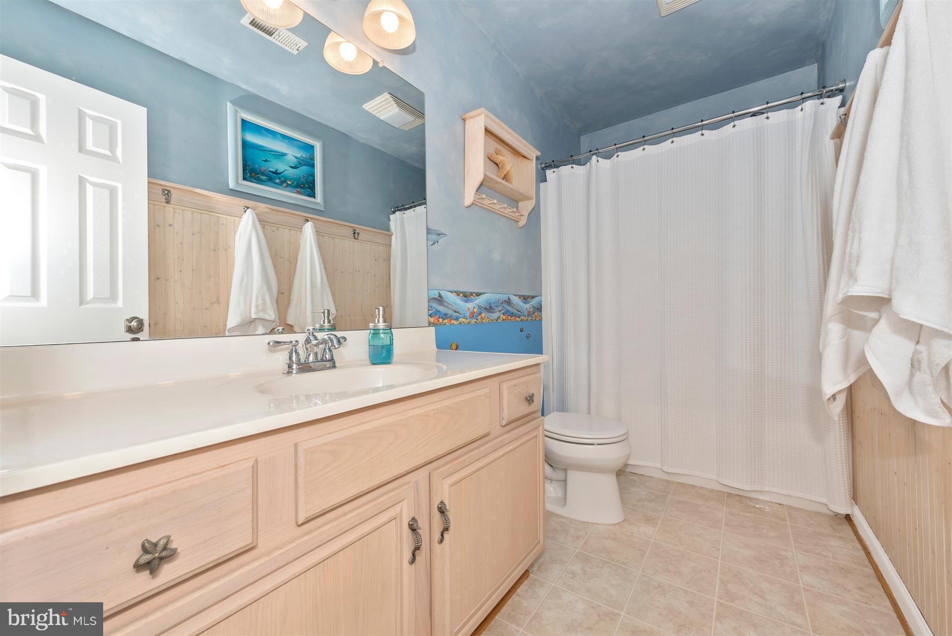 11217 Coppermine Road Woodsboro, MD 21798 - Photo 20 of 30 Upper Level Full Hallway Bathroom