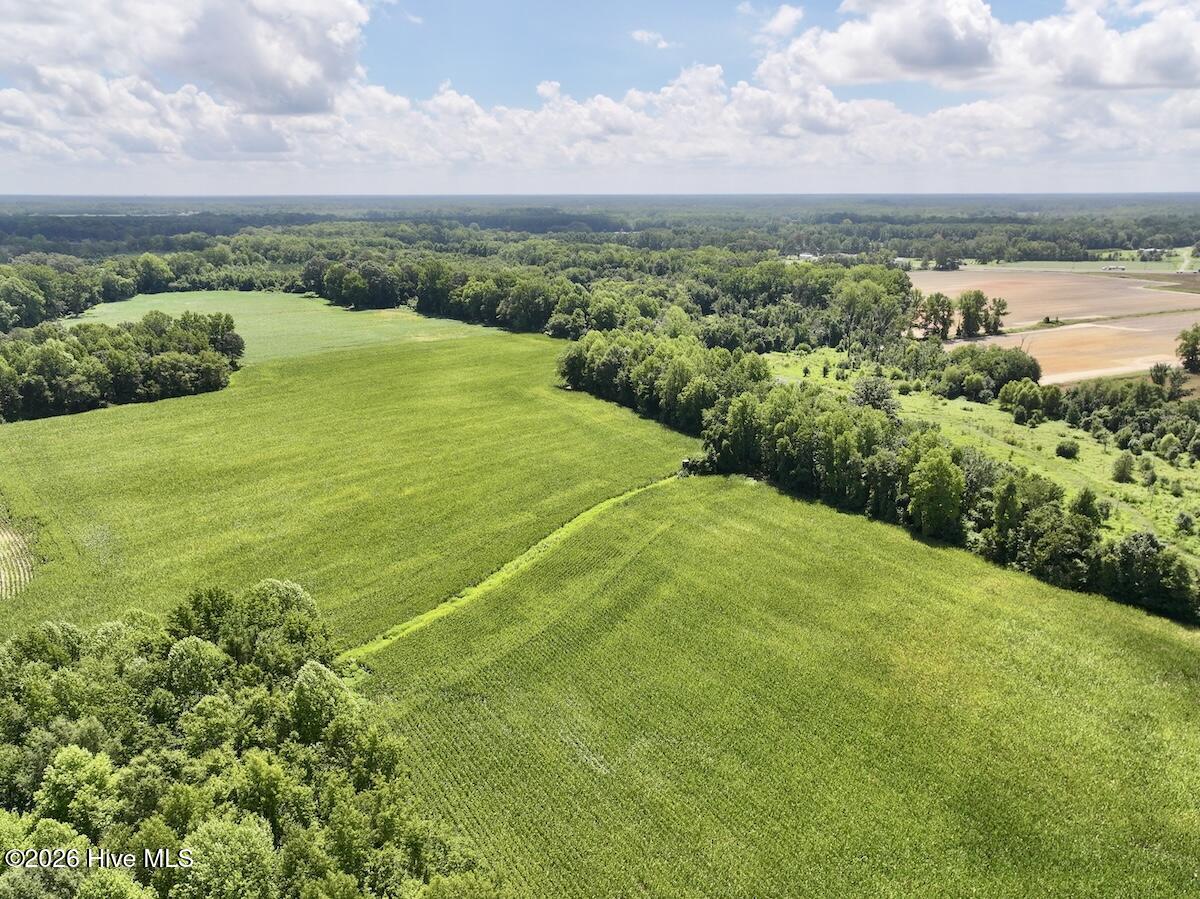 Lot 3 Mobley Road Lucama, NC 27851 - Photo 4 of 34 4