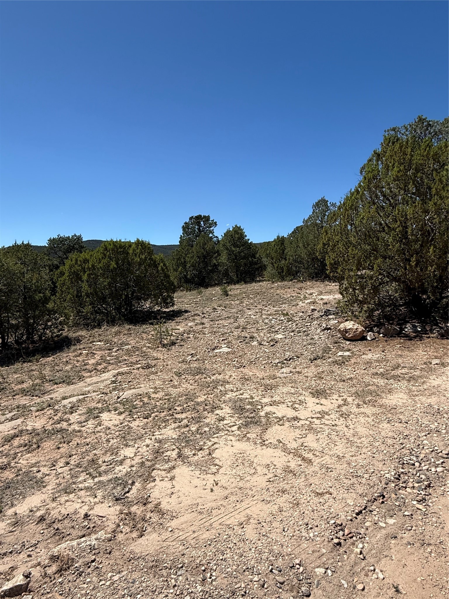 174 Hidden Valley Ranch Road Ilfeld, NM 87538 - Photo 28 of 30