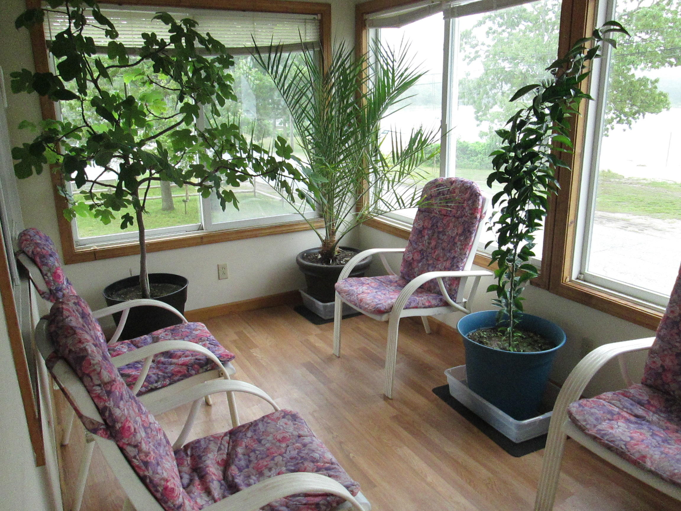 33 Riverside Drive Wareham, MA 02558 - Photo 11 of 32 IMG_2830
