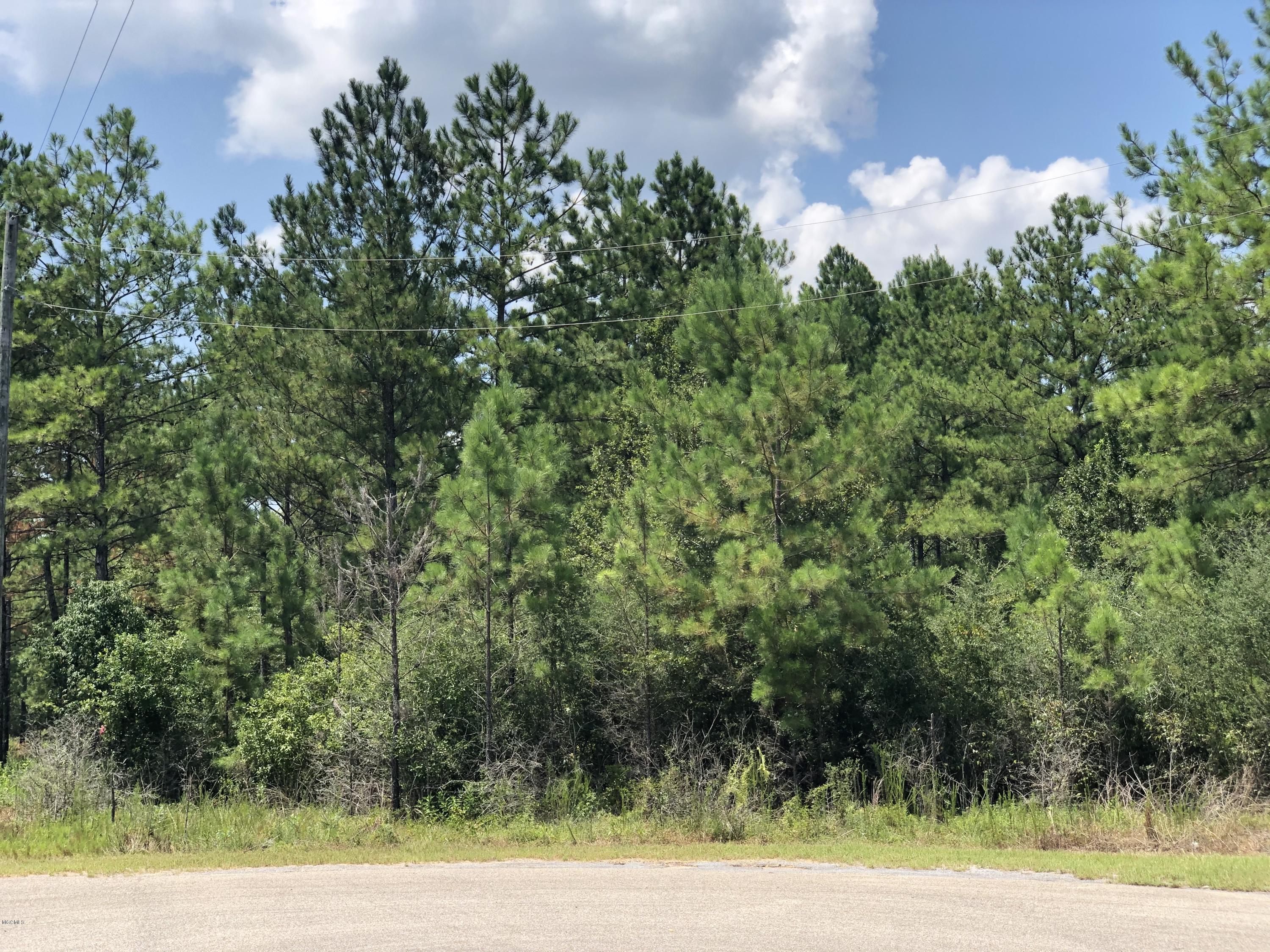 17 Clear Lake Road McHenry, MS 39561 - Photo 1 of 4 Lot 17. Frontage