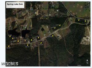 17 Clear Lake Road McHenry, MS 39561 - Photo 2 of 4 Google Earth Spring Lake