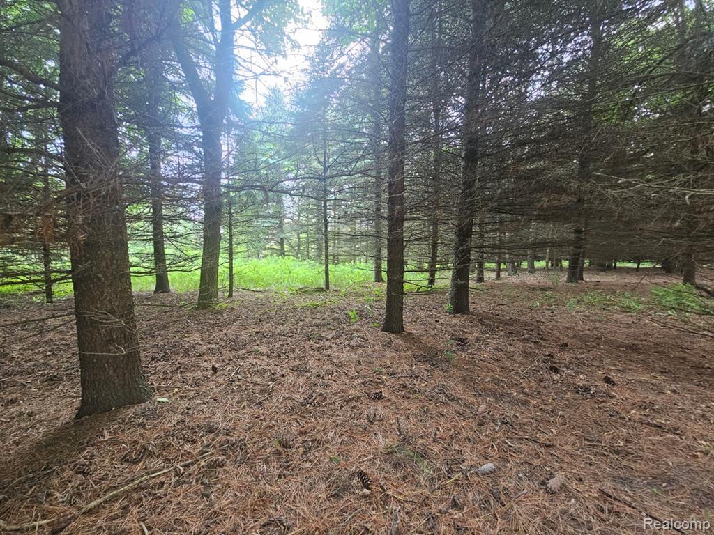 Vl Millville Road Lapeer, MI 48446 - Photo 6 of 15 Gallery Image 6