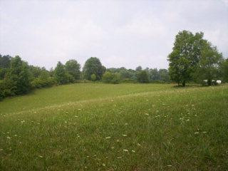204 Dowis Chapel Road Corbin, KY 40701 - Photo 1 of 7 Rolling Pasture