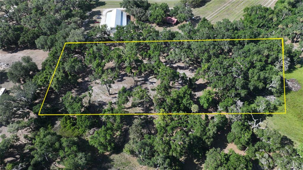 Muck Pond Road Seffner, FL 33584 - Photo 7 of 13