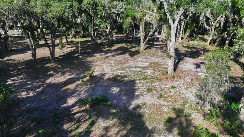Muck Pond Road Seffner, FL 33584 - Photo 10 of 13 a view of a park with large trees