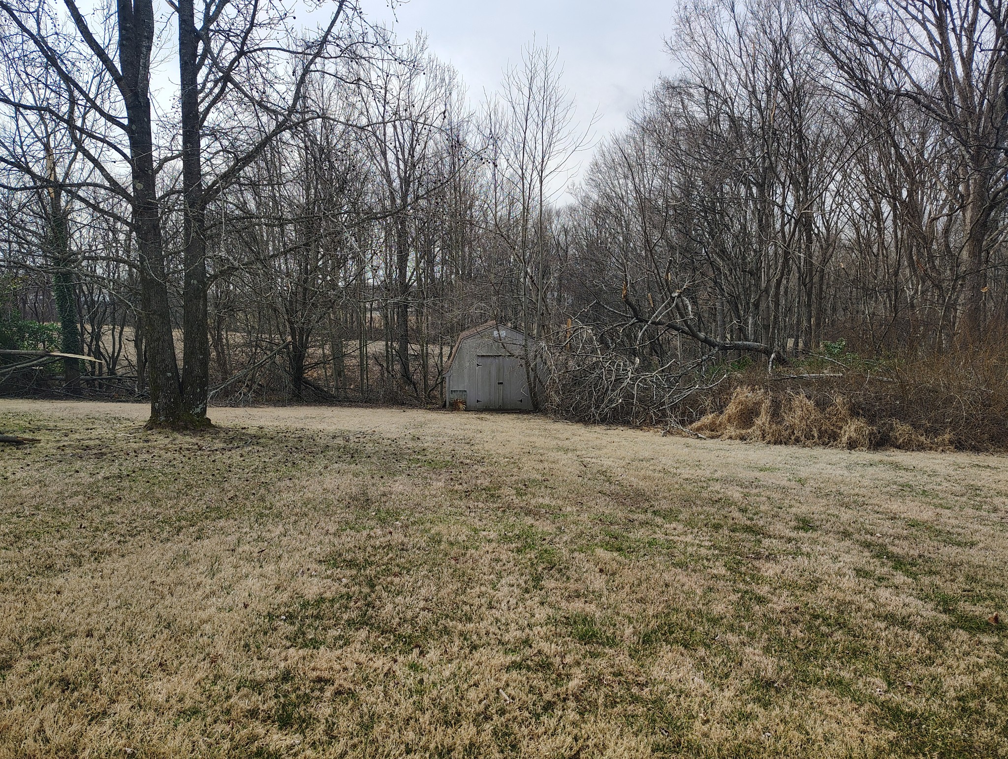 29 Bluebird Lane Lafayette, TN 37083 - Photo 6 of 17 a view of backyard with green space