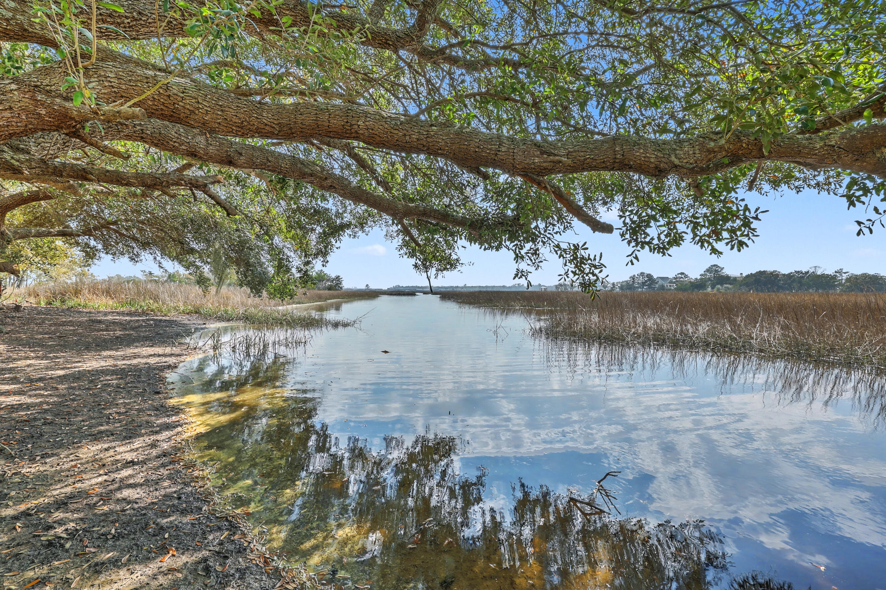 0 James Bay Road Johns Island, SC 29455 - Photo 6 of 61