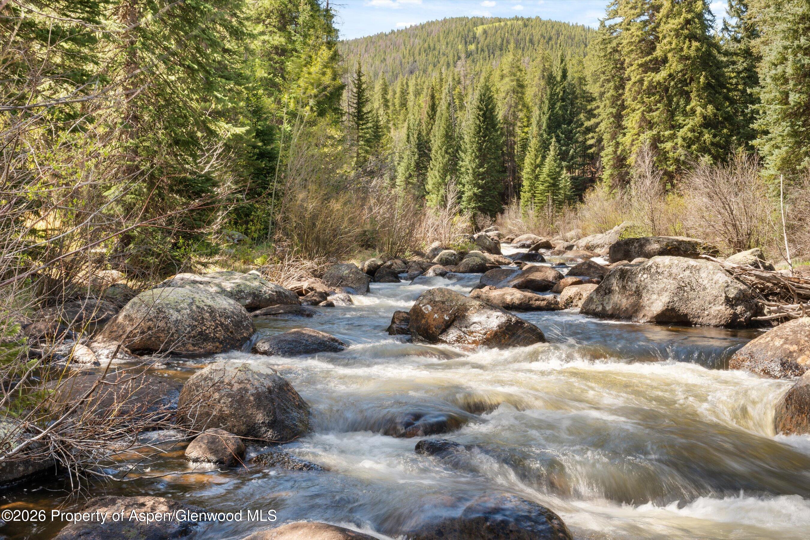 26608 Frying Pan Road Meredith, CO 81642 - Photo 40 of 49 a view of a forest with houses