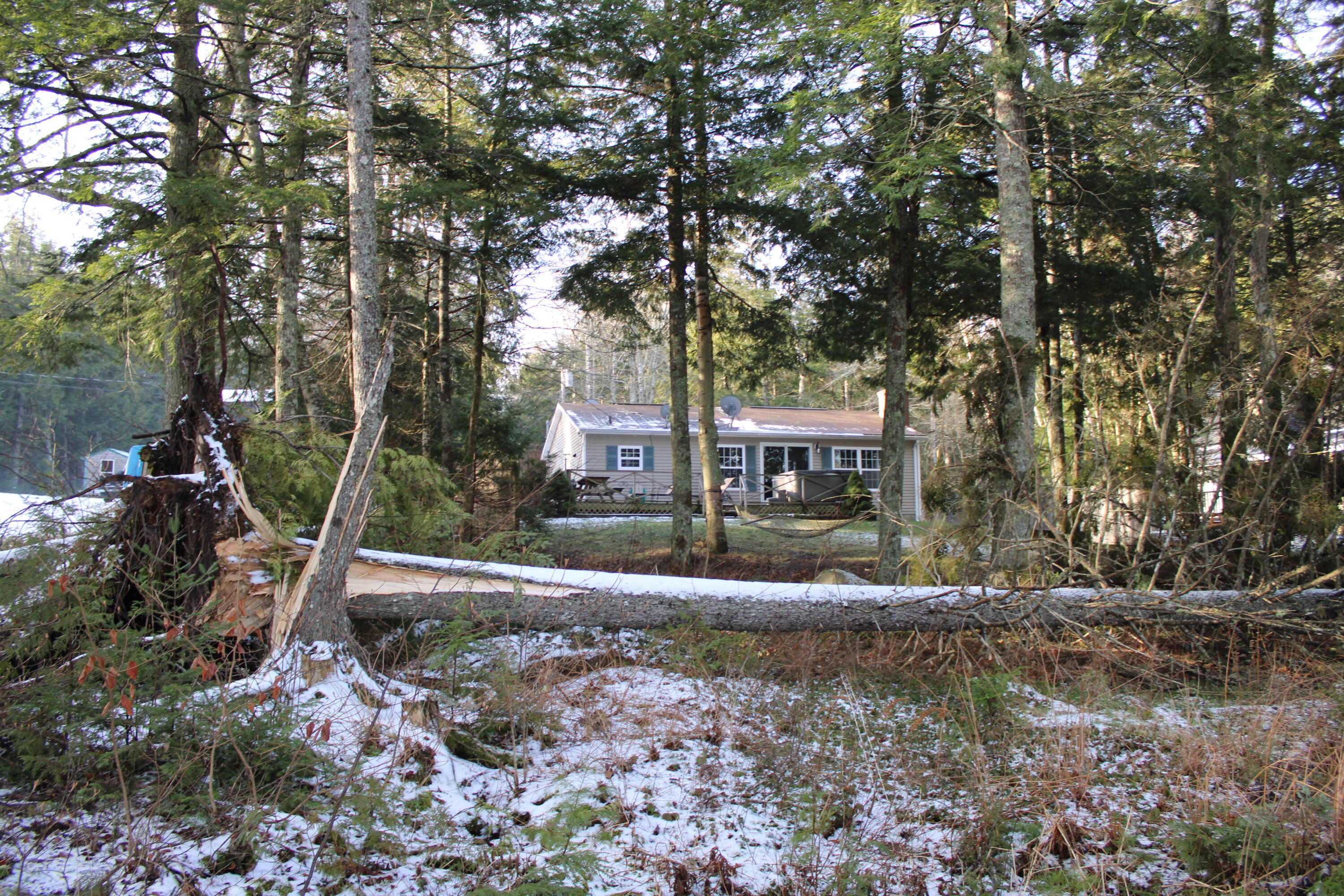 16 Maple Drive Northfield, ME 04654 - Photo 45 of 51 House- View from Lake