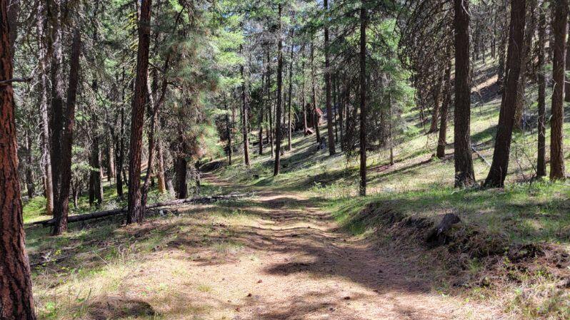 1315 Lofton Creek Road Prineville, OR 97754 - Photo 53 of 61 image000004 (4)