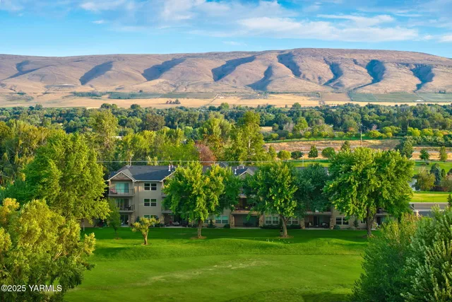 a view of a back yard