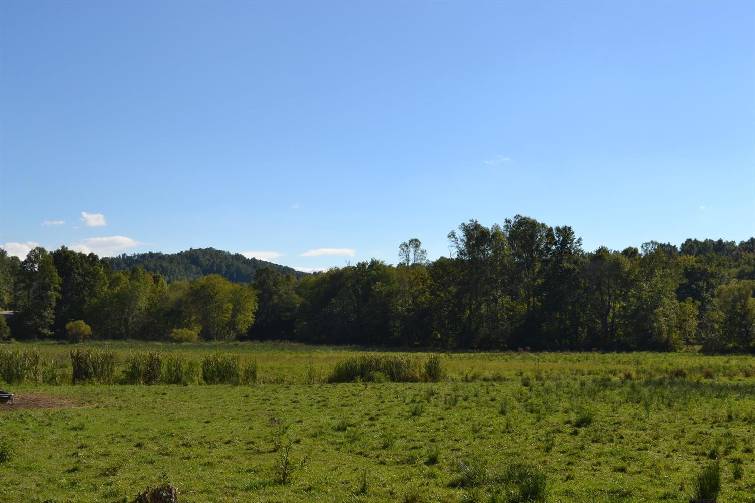6464 Cane Creek Road London, KY 40744 - Photo 4 of 6 Photo 4