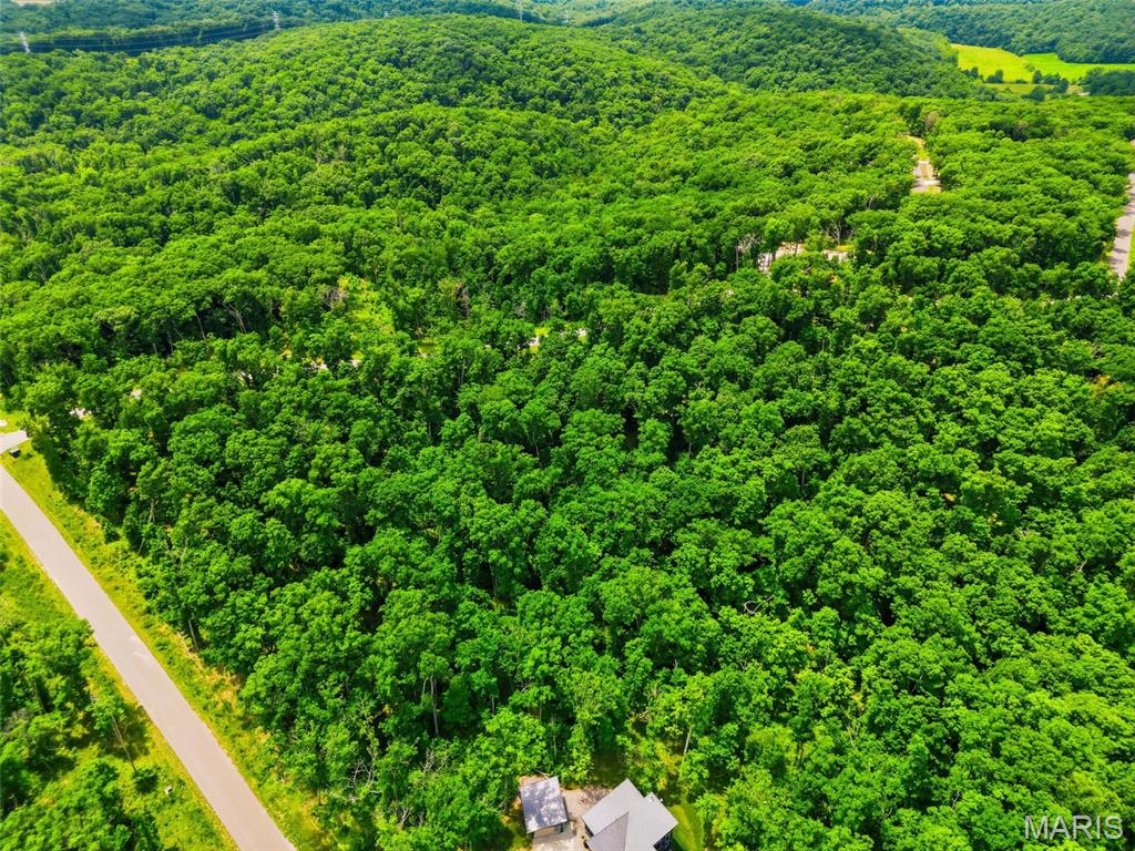 2833 Tyrolean Way Drive Innsbrook, MO 63390 - Photo 5 of 6